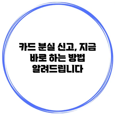카드 분실 신고, 지금 바로 하는 방법 알려드립니다